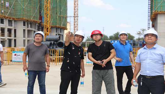 星空网页版登录入口董事会巡检圆满完成